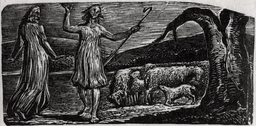 Thenot, with Colinet waving his arms in sorrow, illustration from Dr. Thornton